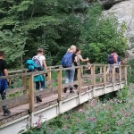 Herbstwanderung 2020